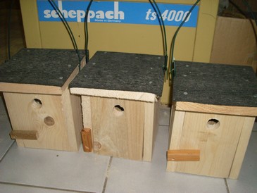 Gruppe_1_0033.jpg