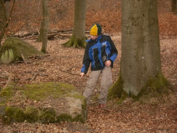 SAM0032.jpg