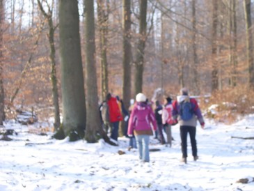 Rossberg007.jpg