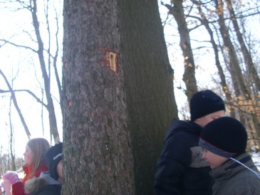 Rossberg008.jpg