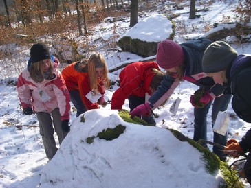 Rossberg010.jpg