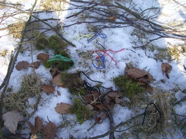Rossberg018.jpg