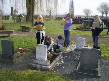 Friedhof006.jpg